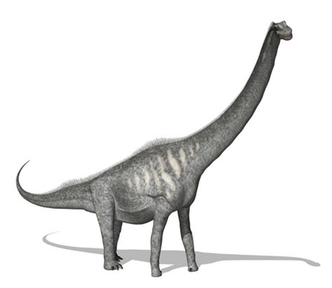 Sauroposeidon   DinoPit