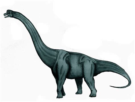 Sauroposeidon | DinosaurusBlog