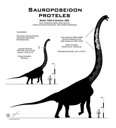 Sauroposeidon proteles | Dinosaurs and their relatives ...