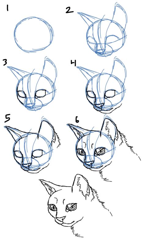 Savanna Williams: How to Draw Cats  Faces / Heads