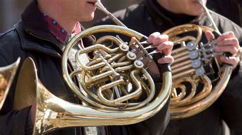 Say What? French Horn Players Run Risk Of Hearing Loss ...