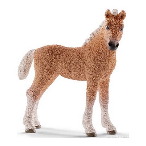 Schleich   Bashkir Curly Foal by Schleich 13781