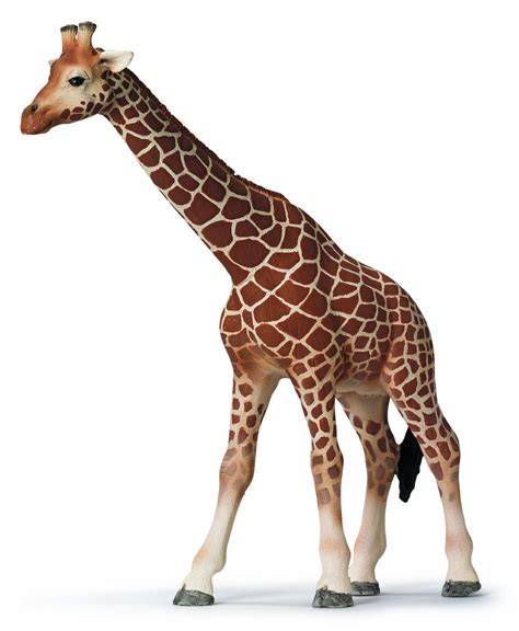 Schleich Giraffe Pictures to Pin on Pinterest PinsDaddy