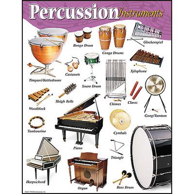School Posters | Percussion Instruments Music Poster