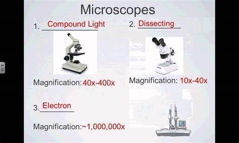 SCI 7   Types of Microscopes   YouTube