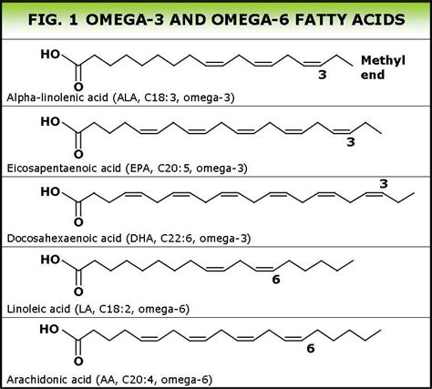 Science Info World: Omega 3 fatty acids