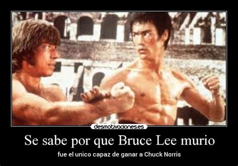 Se sabe por que Bruce Lee murio | Desmotivaciones