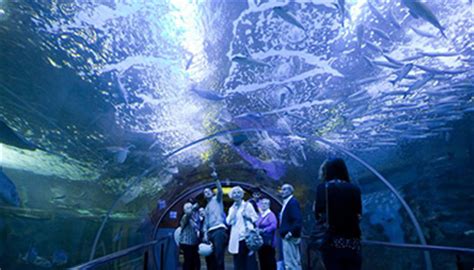 Sea | Aquarium   Palacio del Mar in DONOSTIA SAN SEBASTIÁN ...