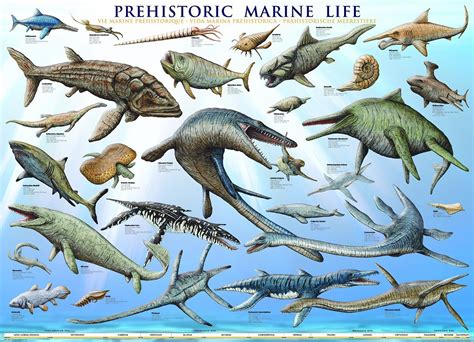 Sea Life Poster | The Dinosaur Farm