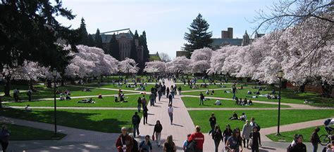 Seattle University | Overview | Plexuss.com