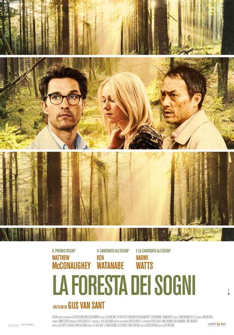 Sección visual de El bosque de los sueños   FilmAffinity