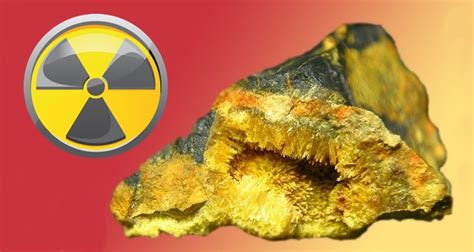 Secuelas tras manipulación de uranio. Alumnos de CESUR ...
