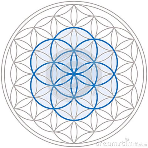Seed Of Life In Flower Of Life Stock Vector   Image: 40086225
