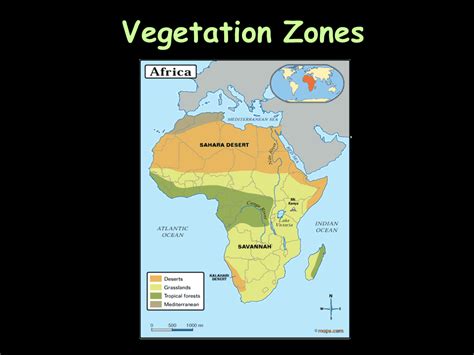 Seismic Activity in Africa   SliderBase