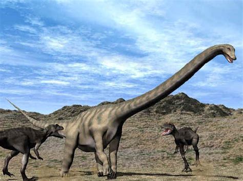 Seismosaurus | Age of the dinosaurs Wiki | Fandom powered ...