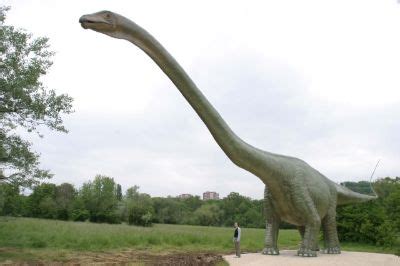 seismosaurus | ISTORII REGĂSITE