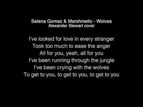Selena Gomez & Marshmello Wolves Lyrics Alexander ...