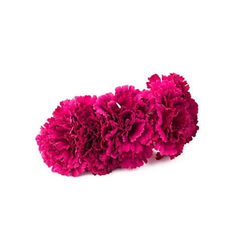 Semicorona de flamenca de flores | Complementos de Flamenca