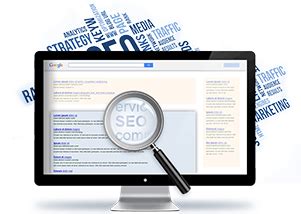 SEO Check | Analiza gratis si tu sitio web está optimizada ...