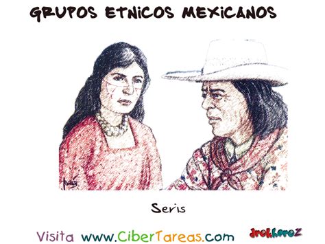 Seris – Grupos Étnicos Mexicanos | CiberTareas