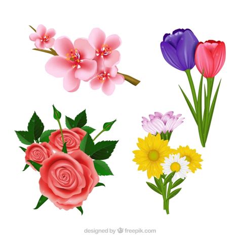 Set de bonitas flores realistas | Descargar Vectores gratis