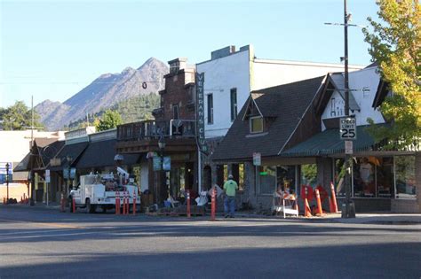 Seven trees being replaced on Mt. Shasta Boulevard   News ...