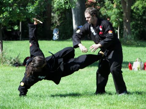 Shaolin Kung Fu & Tai Chi   Estilos   Escuela mas compleja ...