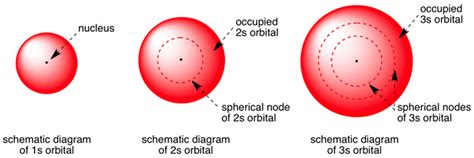 Shape of s orbitals in 3D