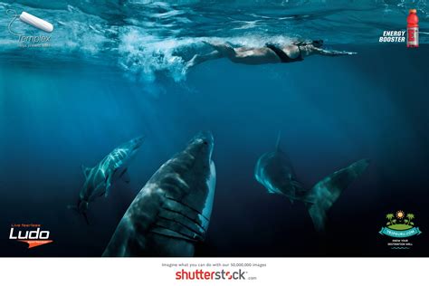 Shutterstock, le 4 en 1 | Pub en stock