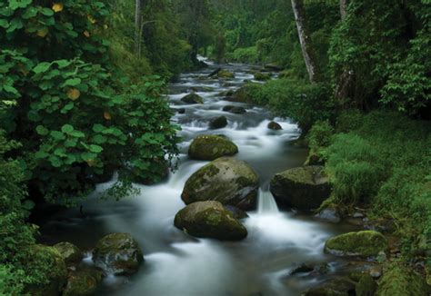 Siete joyas naturales imprescindibles en Costa Rica