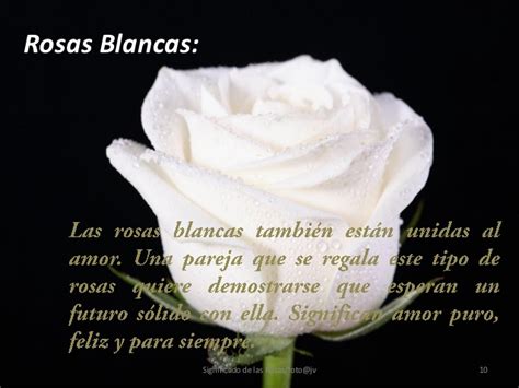 Significado de las rosas