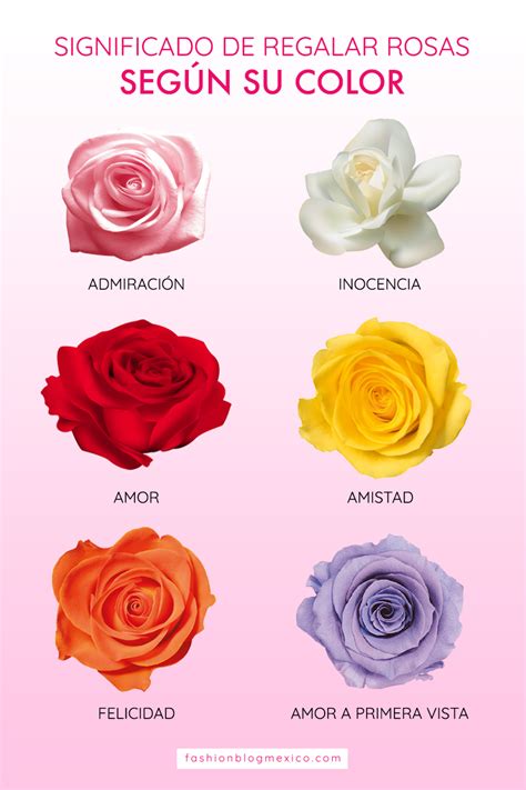 Significado de regalar rosas según su color