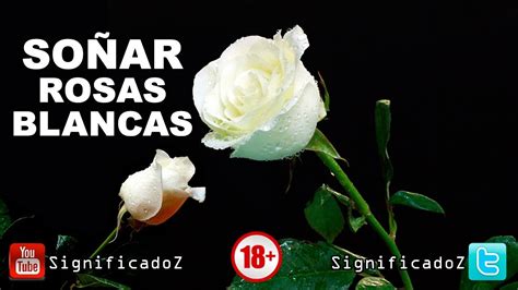 Significado de SOÑAR CON ROSAS BLANCAS ???? ¿Que Significa ...