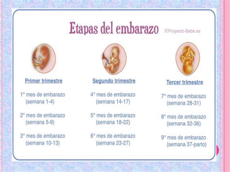 Signos y síntomas embarazo