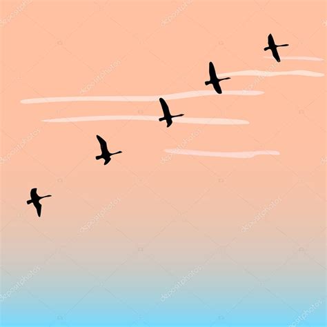 Silueta de aves volando — Vector de stock © altaibar ...