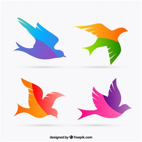 Siluetas de aves coloridas | Descargar Vectores Premium