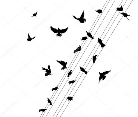 Siluetas de aves de vuelo — Vector de stock © alexcosmos ...