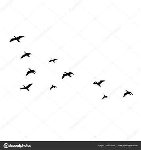 Siluetas de aves volando sobre fondo blanco. Ilustración ...