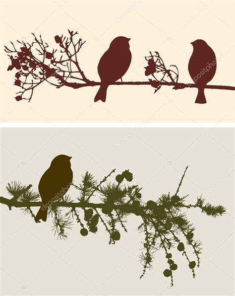 siluetas de pájaros en las ramas — Vector de stock ...