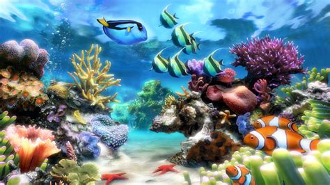 Sim Aquarium   Virtual Aquarium, Screensaver and Live ...