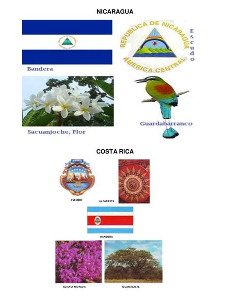 Simbolos patrios de centroamerica