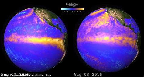 Similarities between this year s El Niño and monster ...