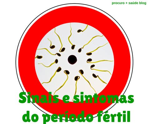 Sinais e sintomas do período fértil   Procuro + Saúde