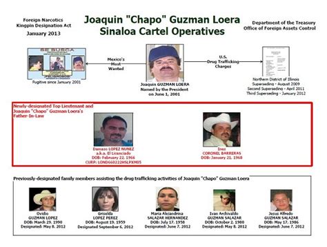 Sinaloa Cartel Organization images