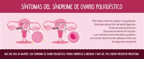 Síndrome de ovario poliquístico: causas, diagnóstico y ...
