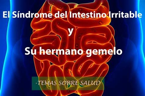 síndrome del intestino irritable y el intestino permeable