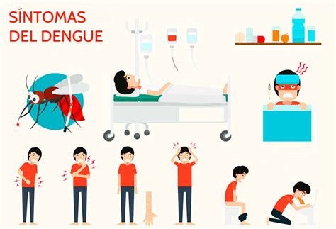 Síntomas del dengue   Salud al día