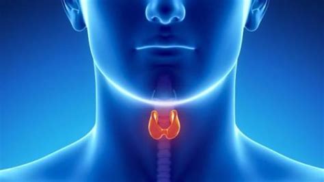 Síntomas iniciales en el cáncer de garganta o laringe ...