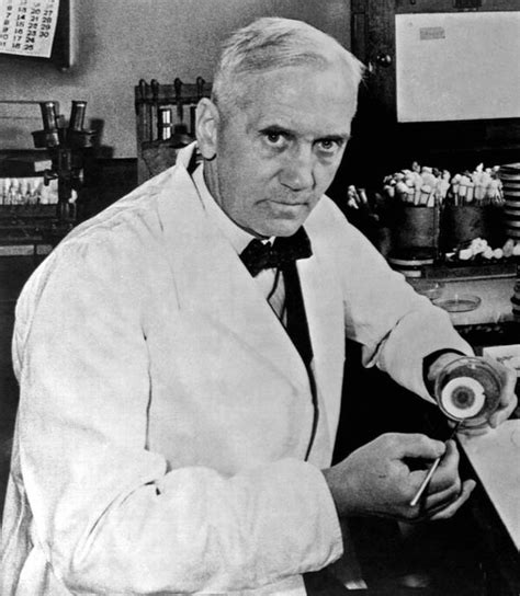 Sir Alexander Fleming s blob of mould set to SELL for £6k ...