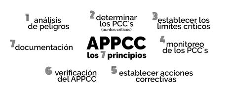 Sistema APPCC: Bases, Principios y Aplicación Correcta de ...